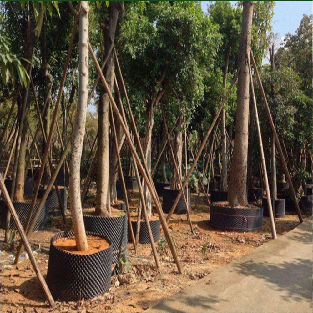 Grow Container Garden Tree Bon - Outdoor Furniture Metal 评论和价格