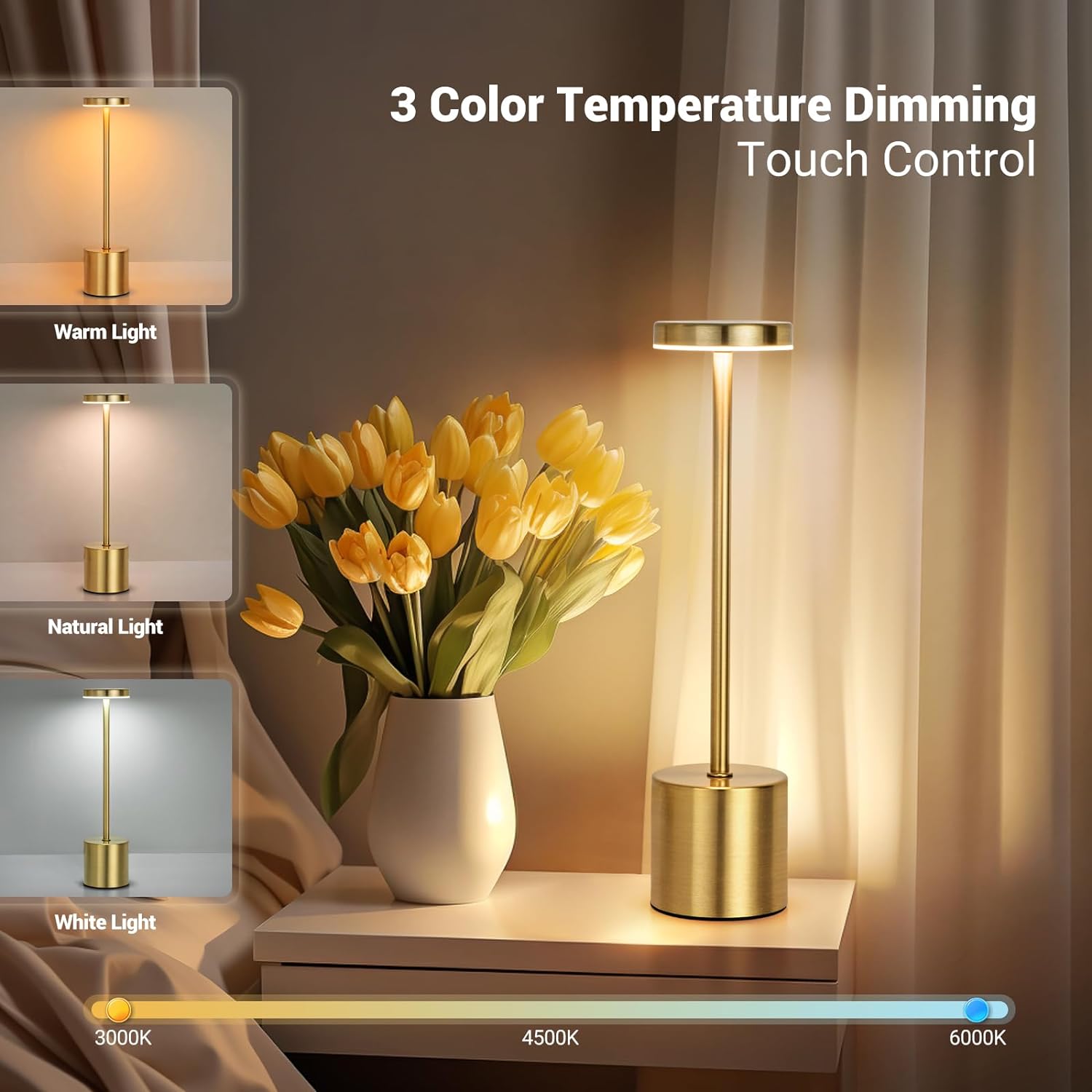 Simple LED Rechargeable Touch  - Outdoor Furniture Iron 评论和价格