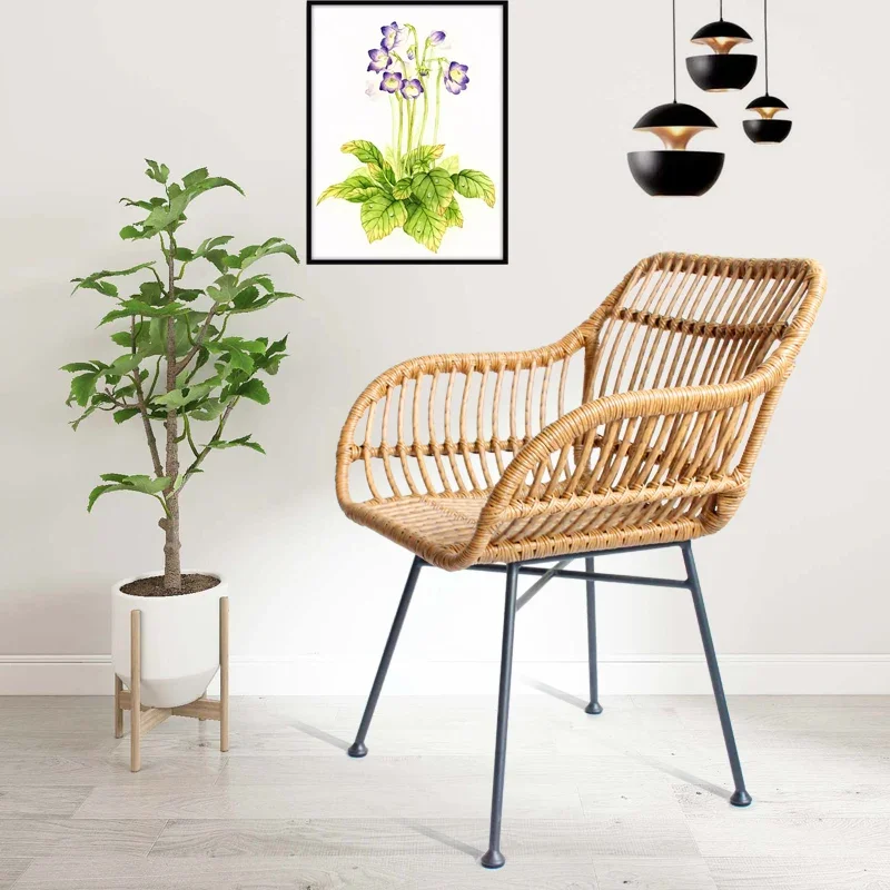 Nordic Dining Chairs for Kitch - Outdoor Furniture Iron 评论和价格